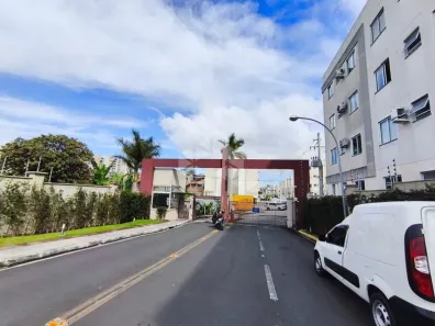 Apartamento com 2 Quartos para alugar, 40m² no Serraria, São José