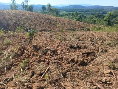 Fazenda/Sítio com 2 Quartos à venda, 480000m² no , Eldorado
