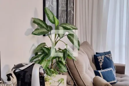 Apartamento com 3 Quartos à venda, 71m² no Núcleo Residencial Célia Mota, Barueri