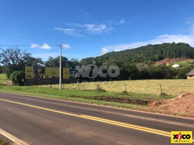 Fazenda/Sítio com 1 Quarto à venda, 5000m² no Linha Araripe, Nova Petrópolis