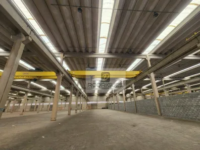 Galpão/Depósito/Armazém para alugar, 4000m² no Vila Alpina, São Paulo