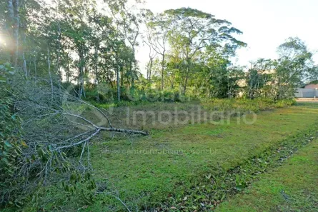 Lote/Terreno à venda, 332m² no Jardim Sao Luis, Peruíbe