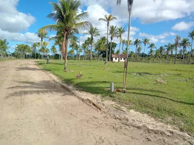 Lote/Terreno à venda, 128m² no Novo Horizonte, Araruama