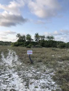 Lote/Terreno à venda, 14000m² no Caraubas, Maxaranguape
