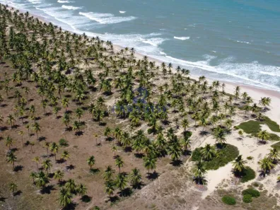 Lote/Terreno à venda, 440000m² no , Conde