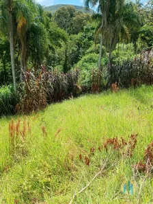 Lote/Terreno para alugar, 1500m² no Rancho Tucsons, Santana de Parnaíba