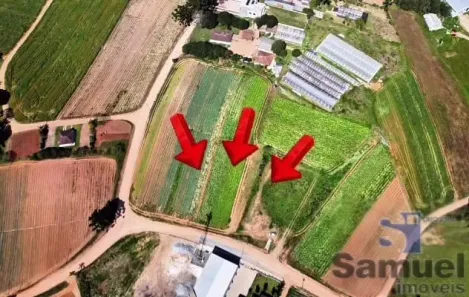 Lote/Terreno à venda, 9000m² no Colônia Murici, São José dos Pinhais