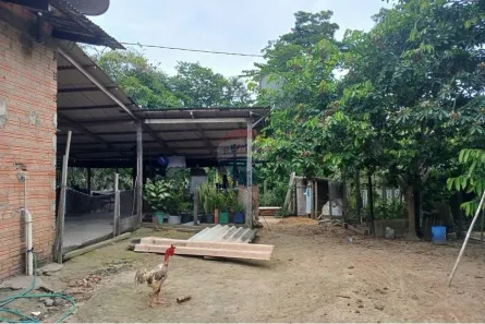 Fazenda/Sítio com 2 Quartos à venda, 78m² no Aeroclube, Porto Velho