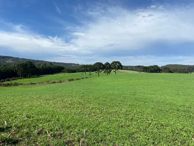 Fazenda/Sítio com 4 Quartos à venda, 1750000m² no , Bom Retiro