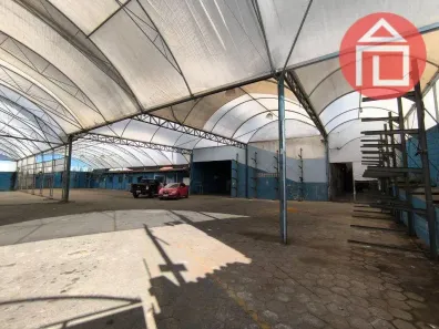 Galpão/Depósito/Armazém para alugar, 2500m² no Bairro do Uberaba, Bragança Paulista