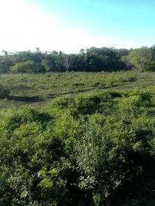 Lote/Terreno à venda, 10065m² no Loteamento Villa Branca, Jacareí
