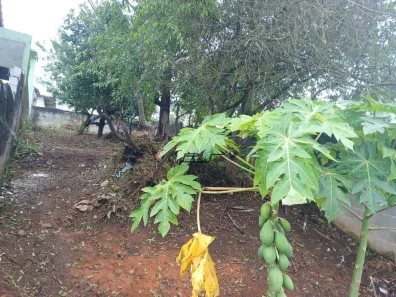 Lote/Terreno à venda, 250m² no Barro Branco, Ribeirão Pires