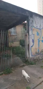Lote/Terreno à venda, 328m² no Vila Nova Savoia, São Paulo