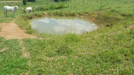 Fazenda/Sítio com 2 Quartos à venda, 93000m² no Área Rural de Sebastianópolis do Sul, Sebastianópolis do Sul
