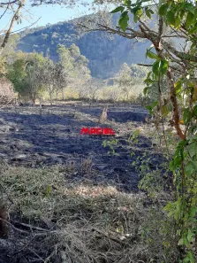 à venda, 2500m² no , Paraibuna