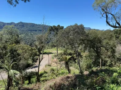Fazenda/Sítio à venda, 20000m² no Urubici, Urubici
