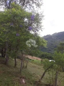 Fazenda/Sítio à venda, 11778m² no Fazenda Pirajá, Nova Petrópolis