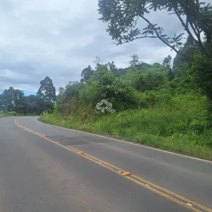 Fazenda/Sítio à venda, 9800m² no Nova Petrópolis, Nova Petrópolis