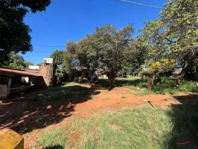 Lote/Terreno à venda, 5000m² no Nossa Senhora da Abadia, Uberaba