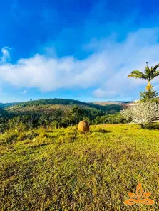 Lote/Terreno à venda, 600m² no Centro, Joanópolis