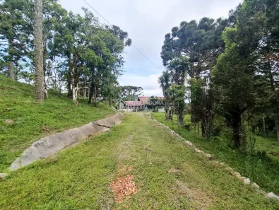 Fazenda/Sítio com 3 Quartos à venda, 79358m² no Campo Alto, Tijucas do Sul