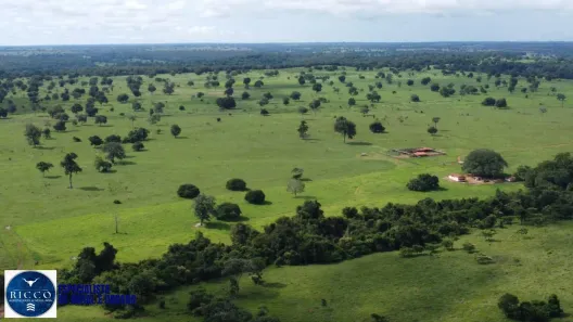 Fazenda/Sítio com 4 Quartos à venda, 940m² no Setor Central, Araguaçu