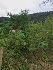 Lote/Terreno à venda, 432m² no Maranduba, Ubatuba