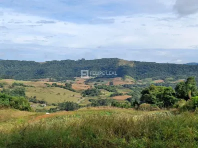 Lote/Terreno à venda, 50000m² no , Angelina