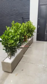Prédio Comercial para alugar, 180m² no Vila Formosa, São Paulo