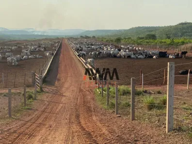 Fazenda/Sítio à venda, 30000000m² no , Pindorama do Tocantins