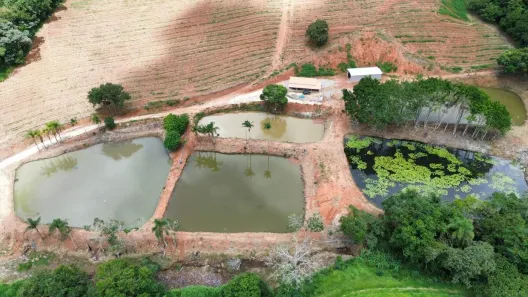 Fazenda/Sítio com 1 Quarto à venda, 200m² no , Monte Alegre do Sul
