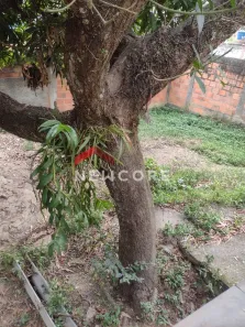 Casa com 4 Quartos à venda, 150m² no Porto do Rosa, São Gonçalo