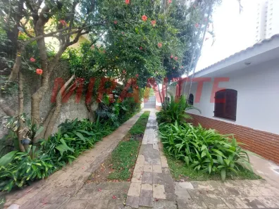 Casa com 3 Quartos à venda, 600m² no Vila Isolina Mazzei, São Paulo