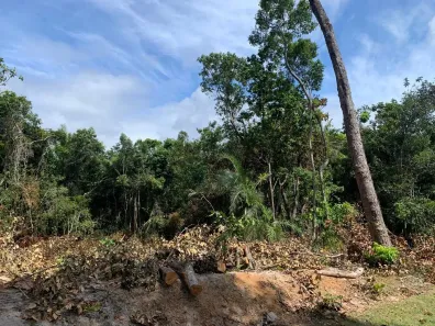 Lote/Terreno à venda, 700m² no , Mata de São João
