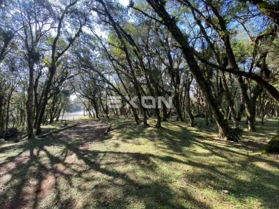 Fazenda/Sítio com 1 Quarto à venda, 86584m² no Contenda, São José dos Pinhais