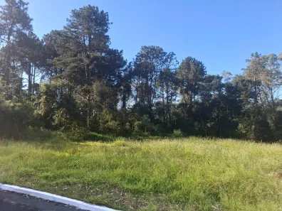 Lote/Terreno à venda, 2440m² no Aldeia da Serra, Barueri