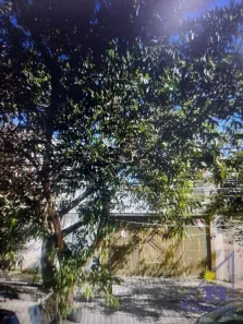 Lote/Terreno para venda ou aluguel, 318m² no Parque da Vila Prudente, São Paulo