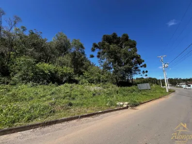 Lote/Terreno à venda, 542m² no Dos Boêmios, Nova Petrópolis