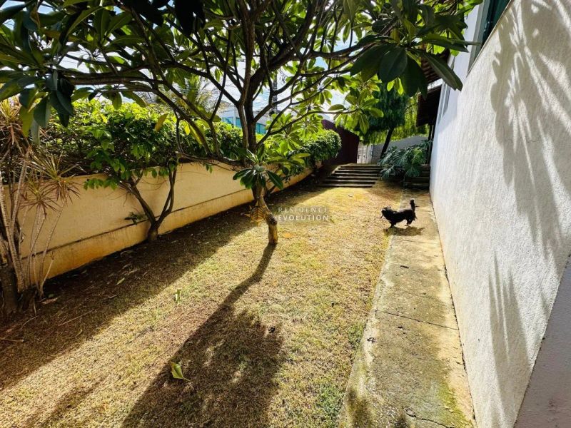Foto 43