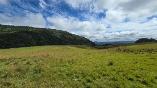 Fazenda/Sítio à venda, 908000m² no , Bocaina do Sul