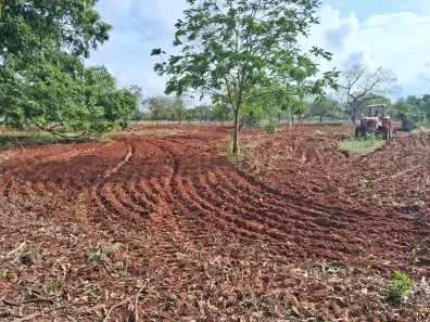 Fazenda/Sítio à venda, 140000m² no Centro, Terenos