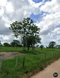 Lote/Terreno à venda, 200m² no Novo Horizonte, Feira de Santana