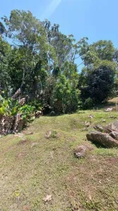 Lote/Terreno à venda, 495m² no Parque Residencial Itapeti, Mogi das Cruzes