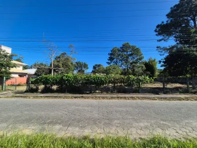 Lote/Terreno à venda, 4123m² no Campeche, Florianópolis
