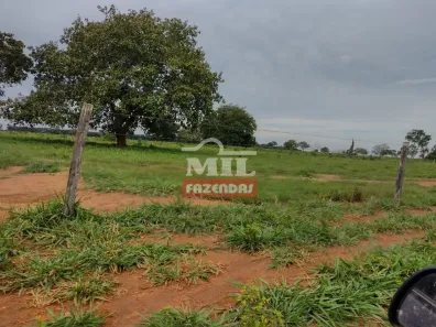 Fazenda/Sítio à venda, 500m² no , Pium