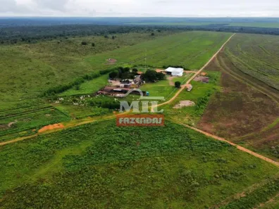 Fazenda/Sítio à venda, 1303000m² no , Alto Garças