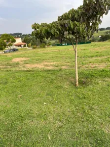  à venda, 1094m² no Zona de Produção Industrial Um (ZPI-01), Nova Odessa