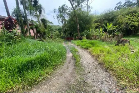Fazenda/Sítio com 3 Quartos à venda, 200m² no Capoavinha, Mairiporã