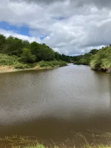 Fazenda/Sítio com 4 Quartos à venda, 1270000m² no , Itagi