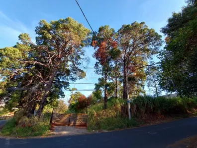 Lote/Terreno à venda, 3990m² no Parque Rural Fazenda Santa Cândida, Campinas